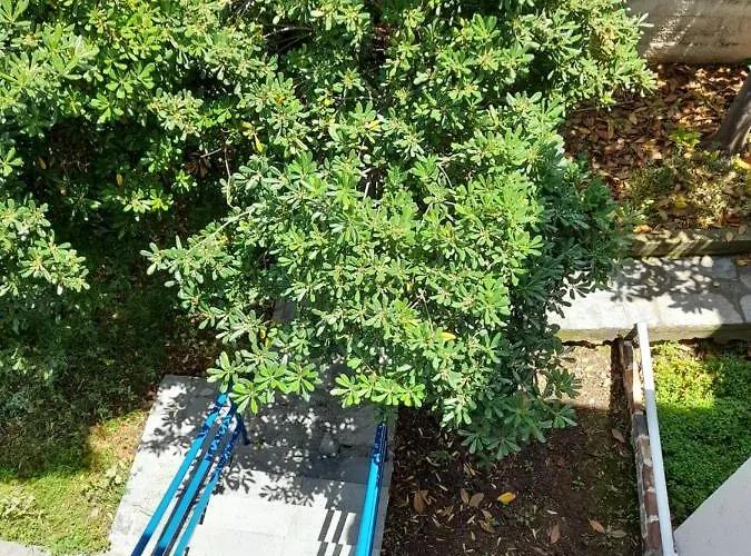 Maisonette Basilissa * Νέα Ποτίδαια