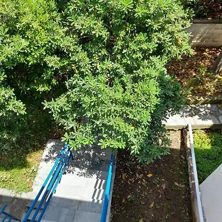 Maisonette Basilissa * נאה פוטידאה